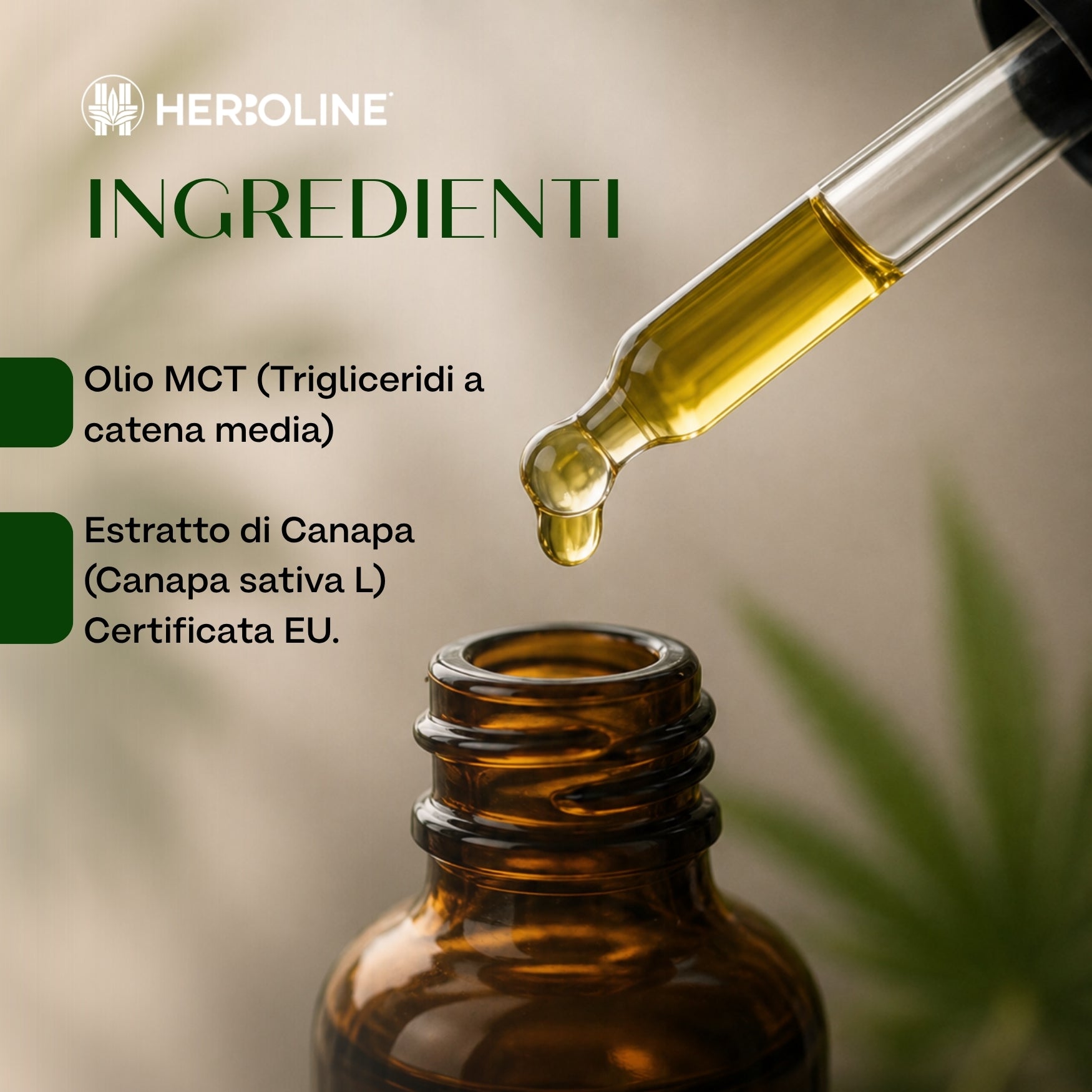 Olio CBD SOFT 5% Full Spectrum | 30ml | La scelta premium 100% naturale per ritrovare equilibrio quando tutto corre troppo veloce