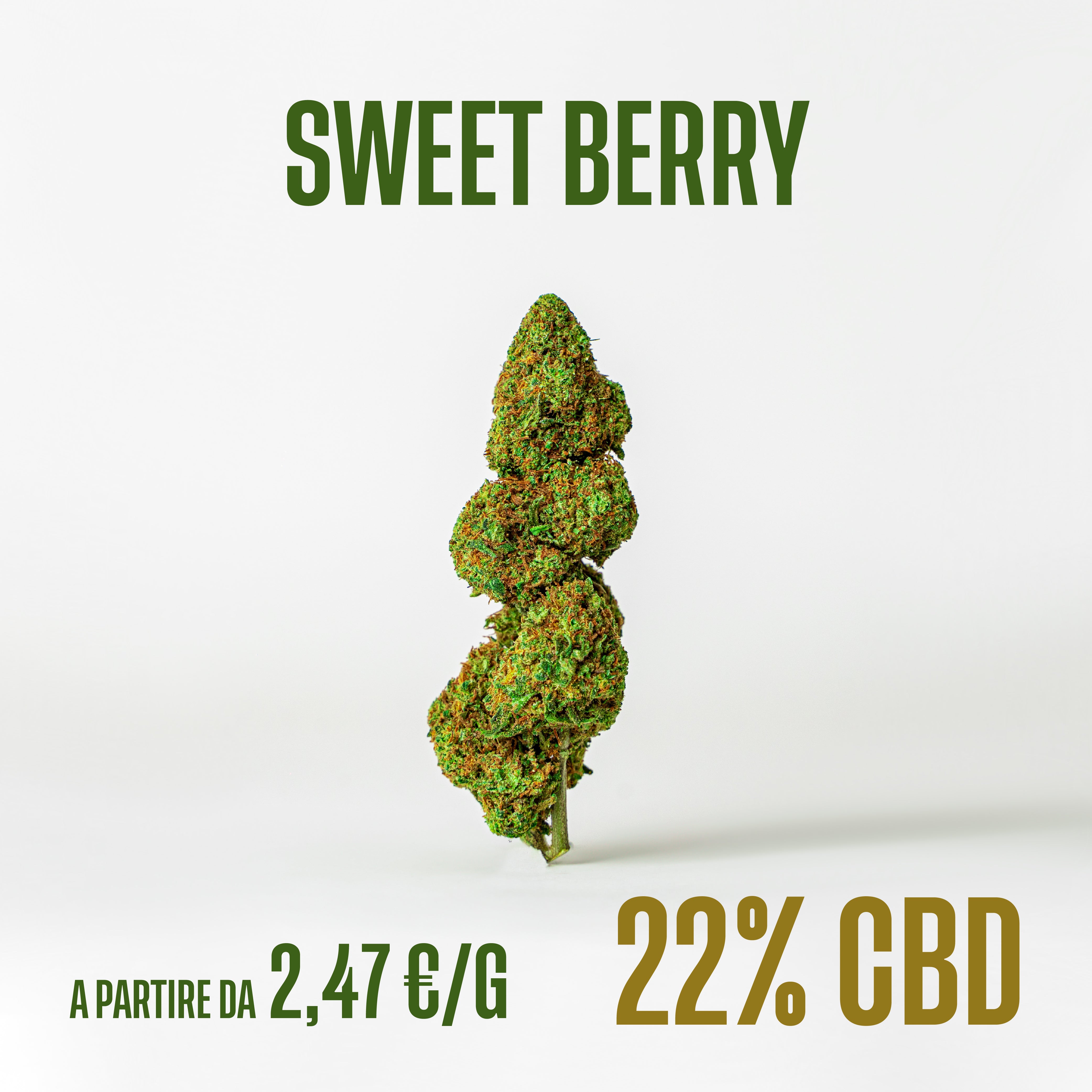 Sweet Berry