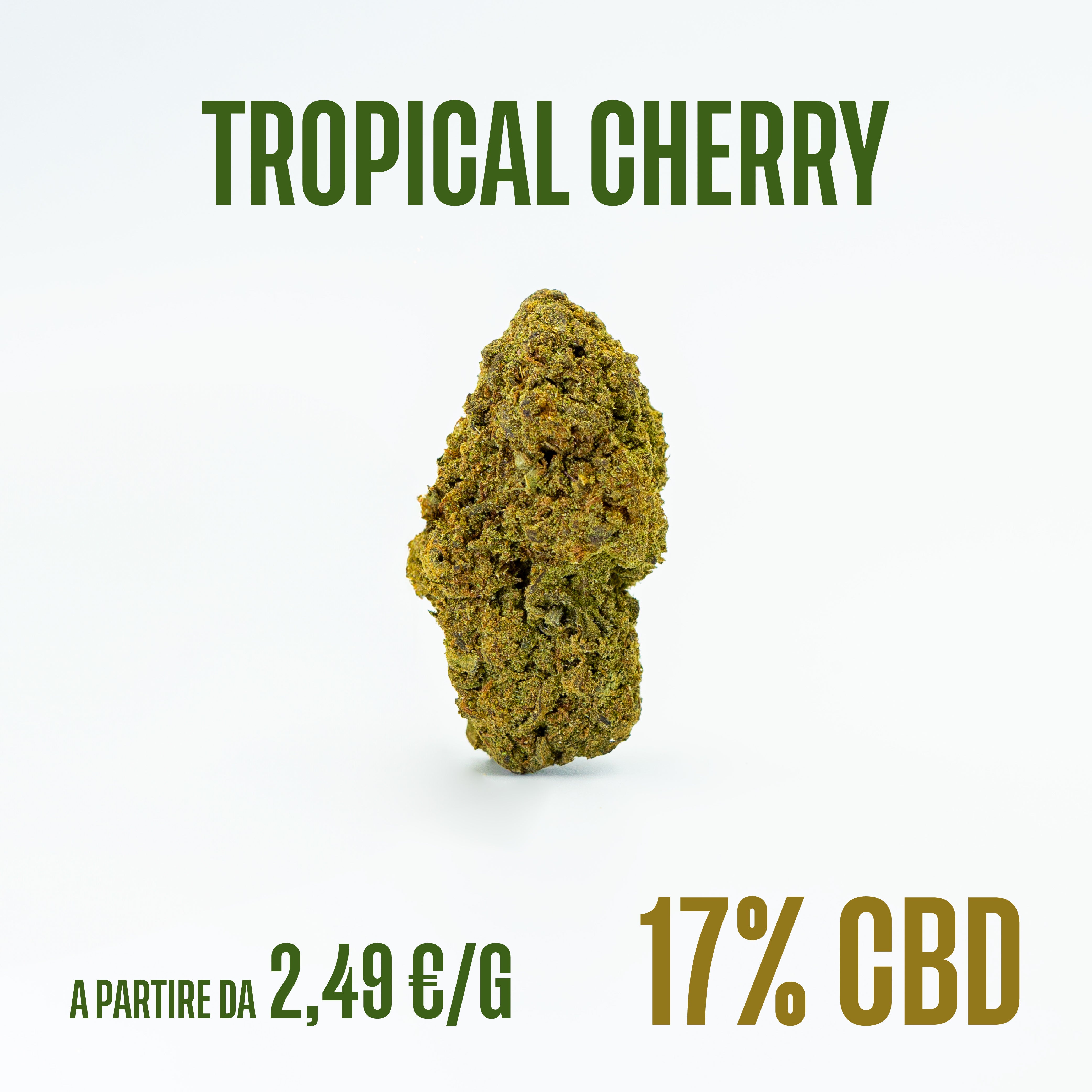 Tropical Cherry