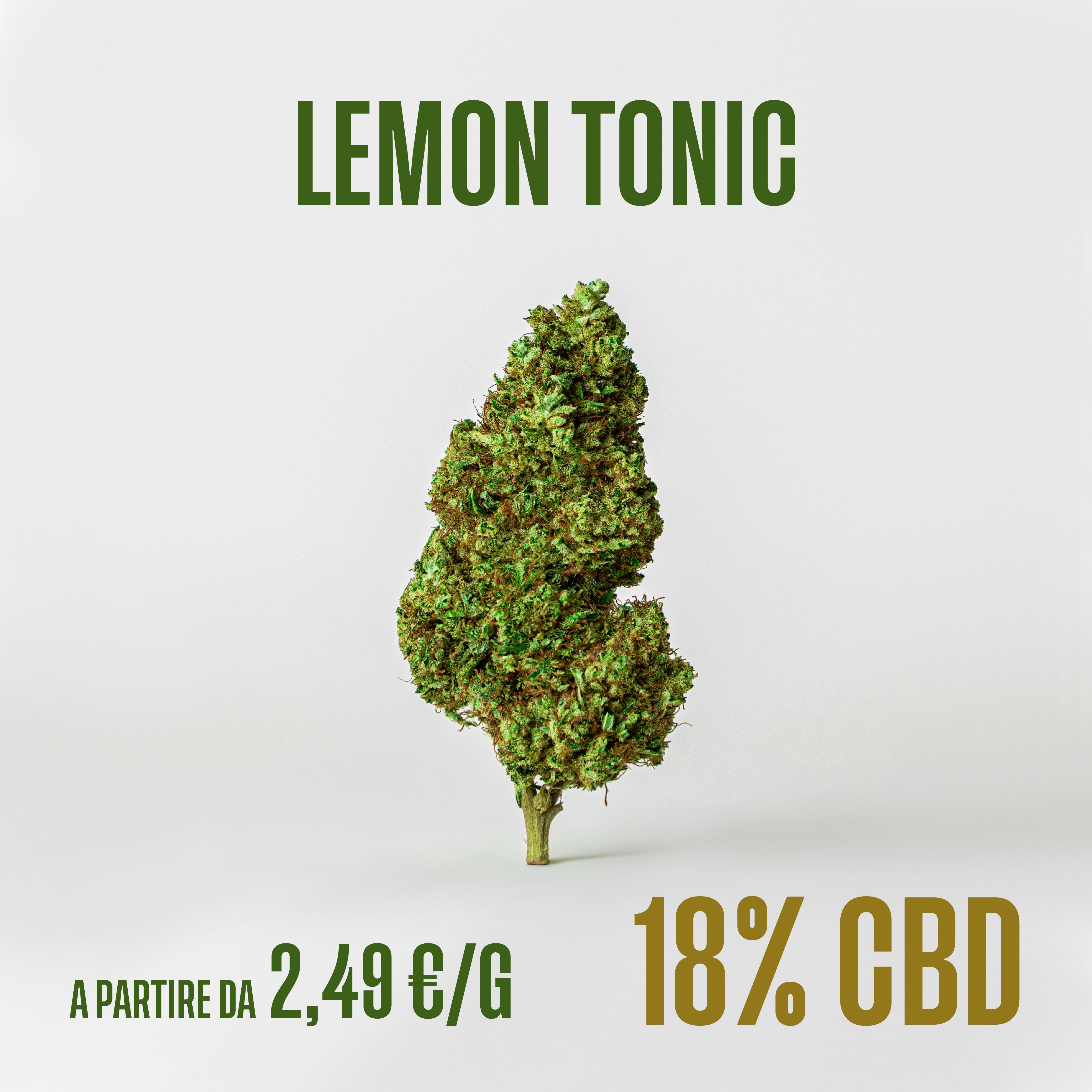 Lemon Tonic