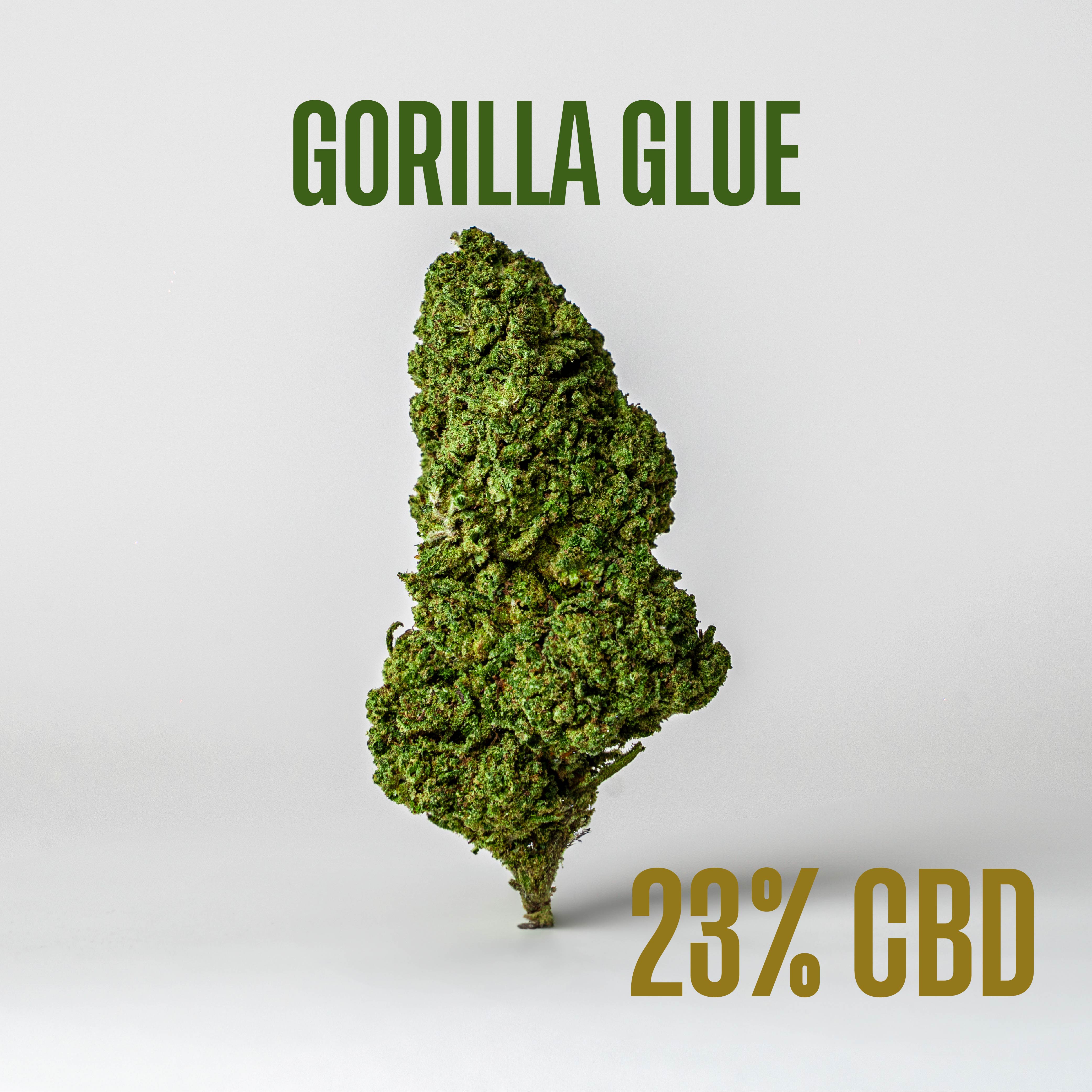 Gorilla Glue