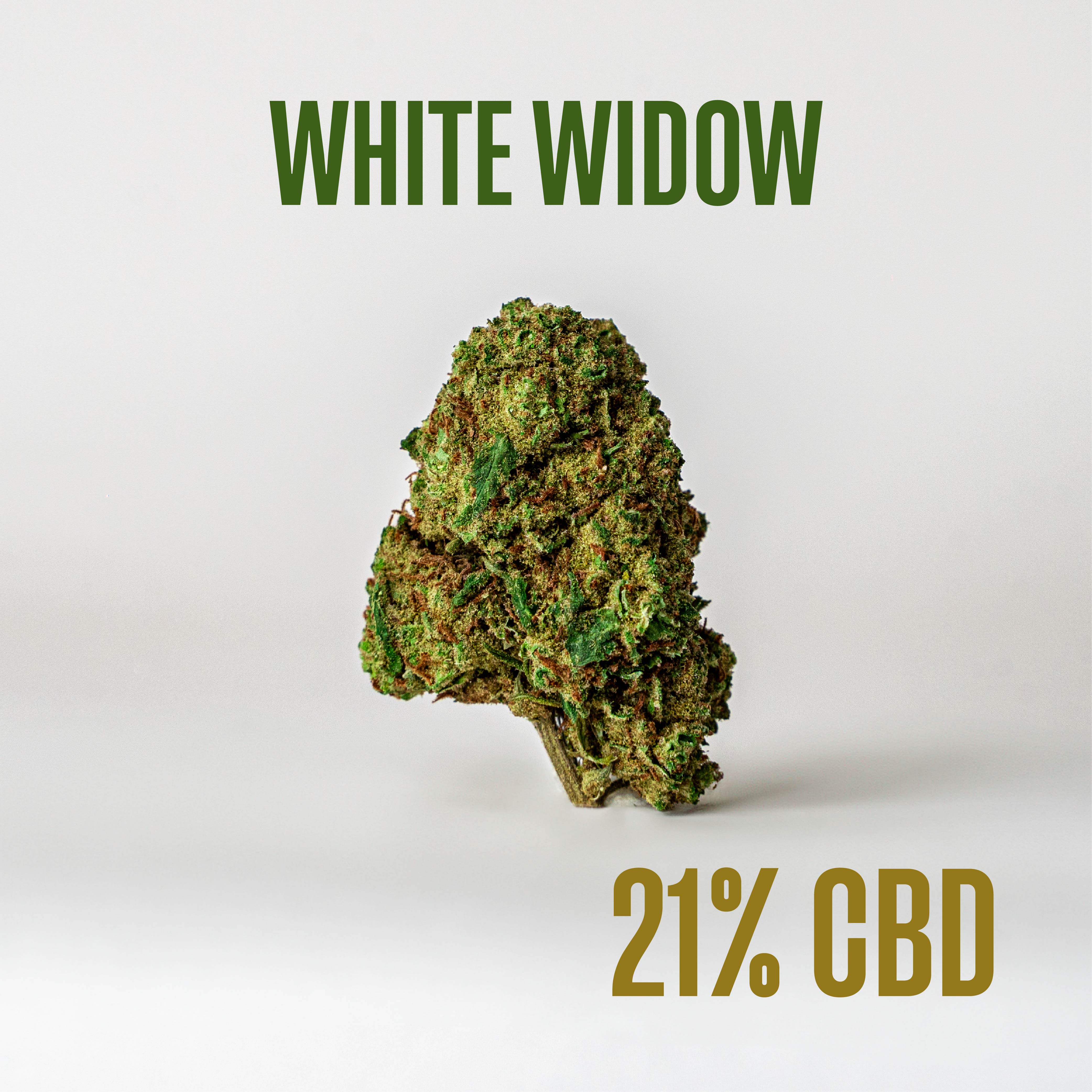 White Widow