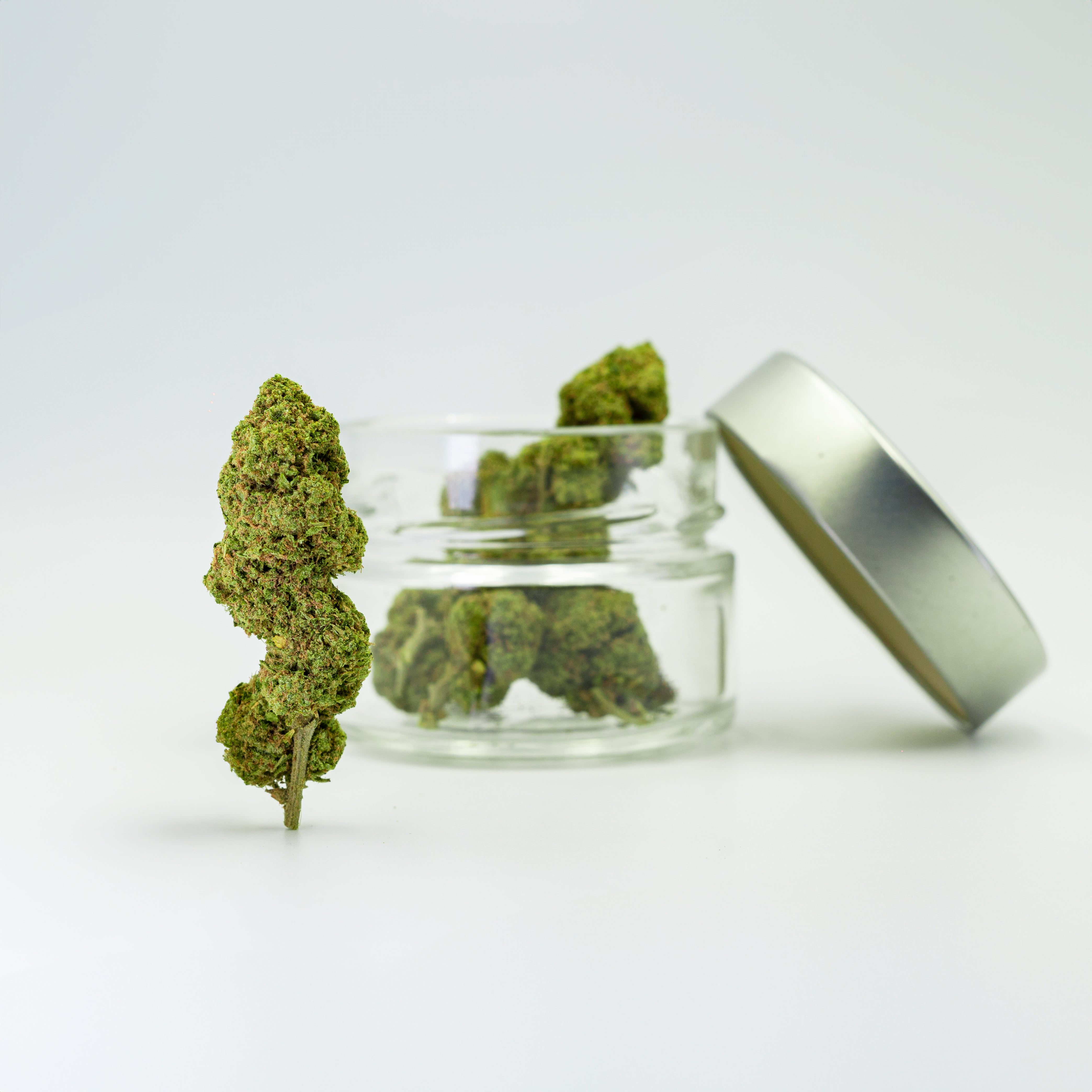 California Haze Indoor (LIMITED EDITION)